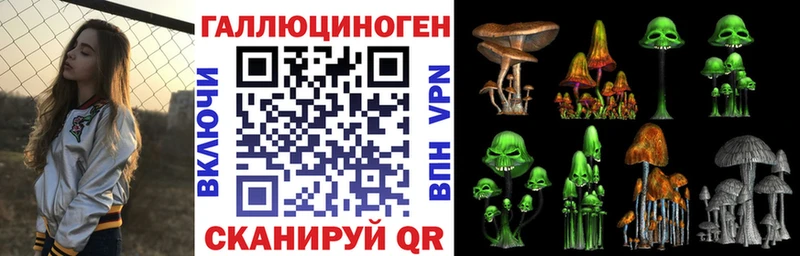 где продают   Пущино  Псилоцибиновые грибы мицелий 
